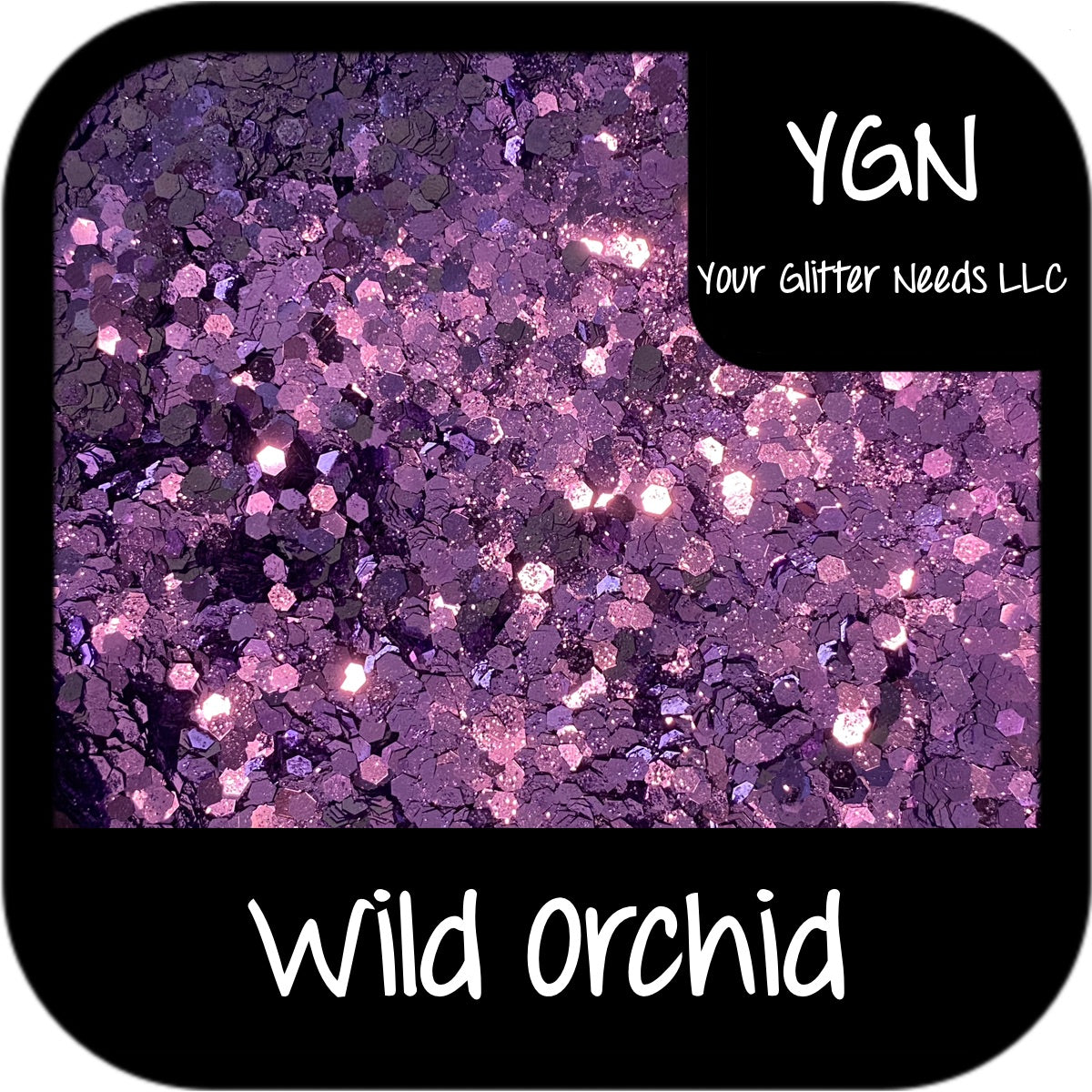 Wild Orchid